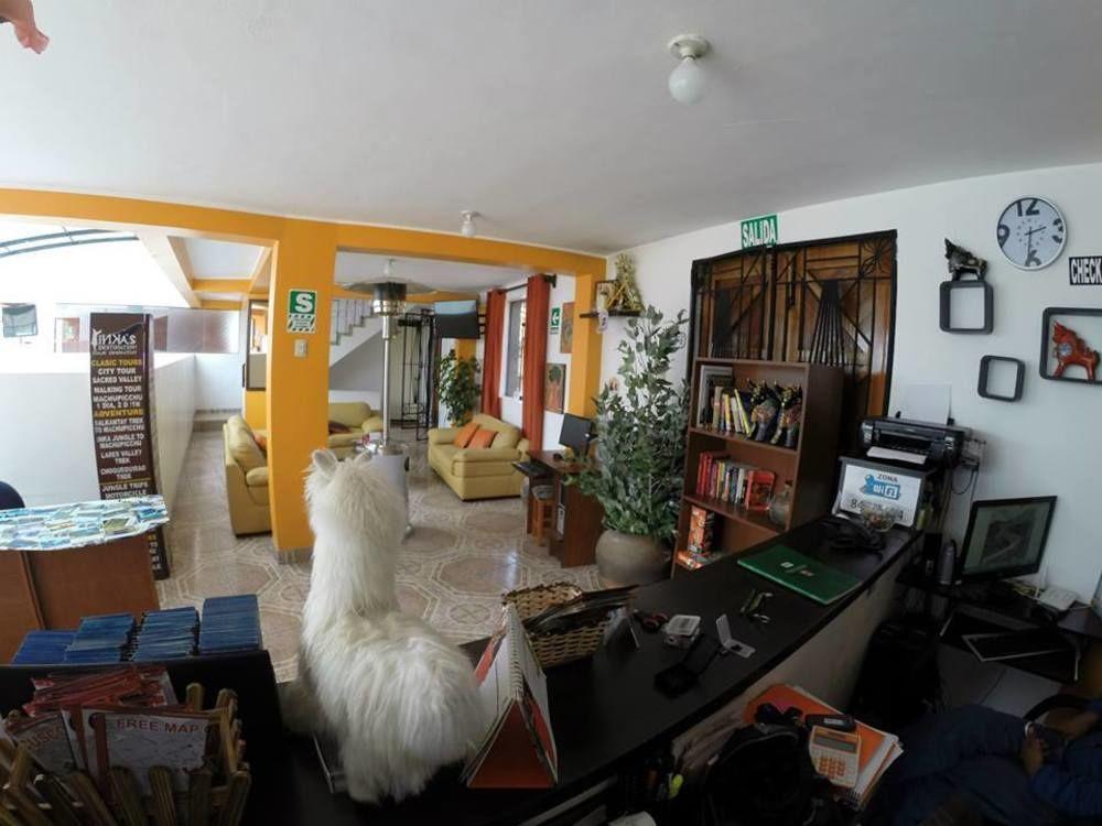 Cuscopackers Hostels Exterior foto
